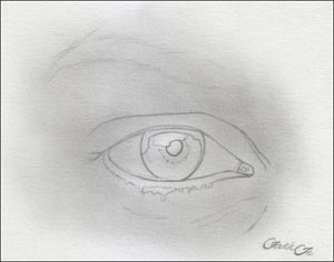 Рисуем реалистичный глаз девушки - шаг 2