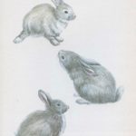 Маленькие зайчата на рисунке
