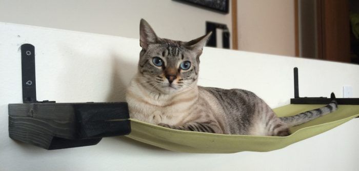 Гамак для кошки