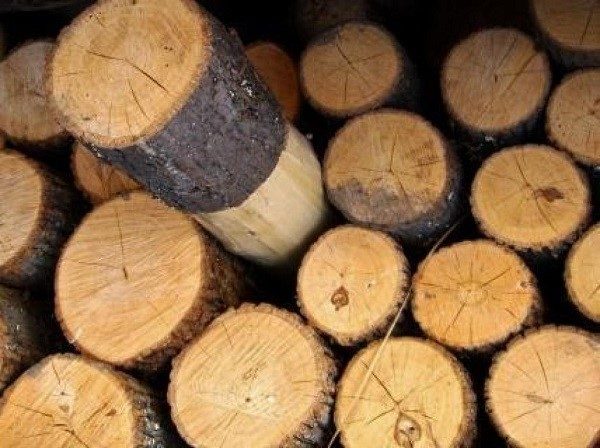 Лесоматериалы из липы можно использовать для изготовления напольной вешалки в домашних условиях, обработав древесину специальными антисептическими веществами
