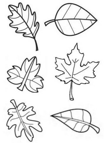 Осенние листья из бумаги: шаблоны и трафареты для вырезания